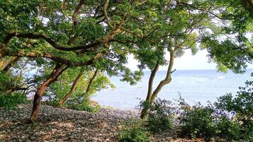 ํ์ฐ์ค | ํด๋ณ