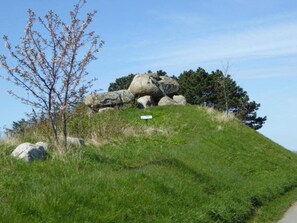 House | Miscellaneous