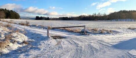 A snow-covered field with a metal gate and tire tracks.