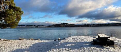 House | Property grounds