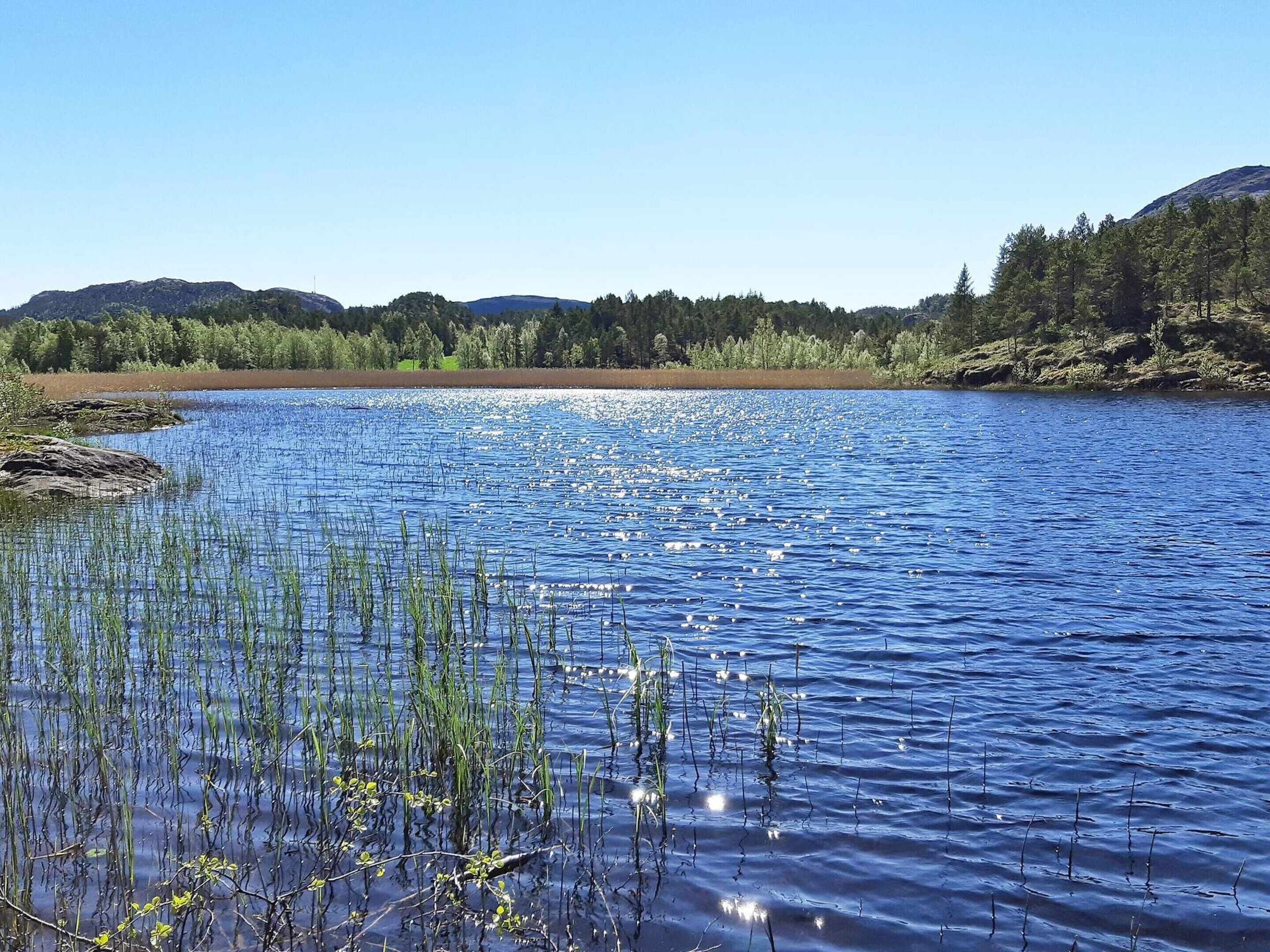 Un lago tranquillo con acque limpide, circondato da colline boscose e una catena montuosa in lontananza.