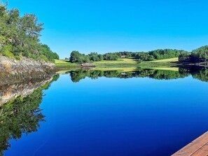 A calm lake with a wooden dock extending into the water, surrounded by lush greenery and a clear blue sky.