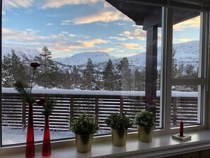 Ferienhaus | Außenbereich