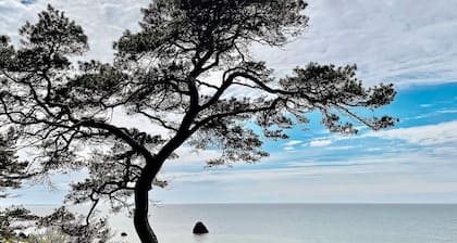 6 Person Holiday Home in Gotlands Tofta-by Traum