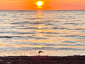 Un atardecer sobre un mar tranquilo con una playa en primer plano.