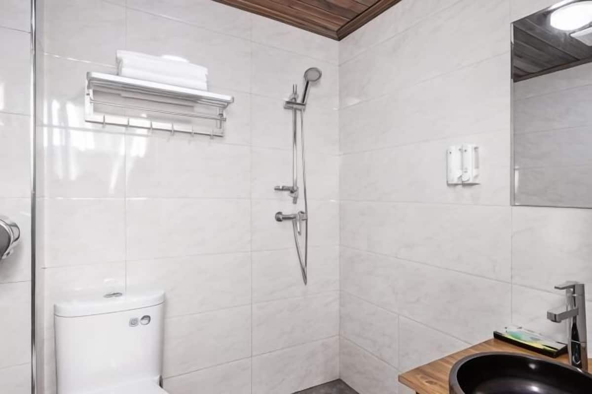 A bathroom with a toilet, a shower, a sink, and a mirror.