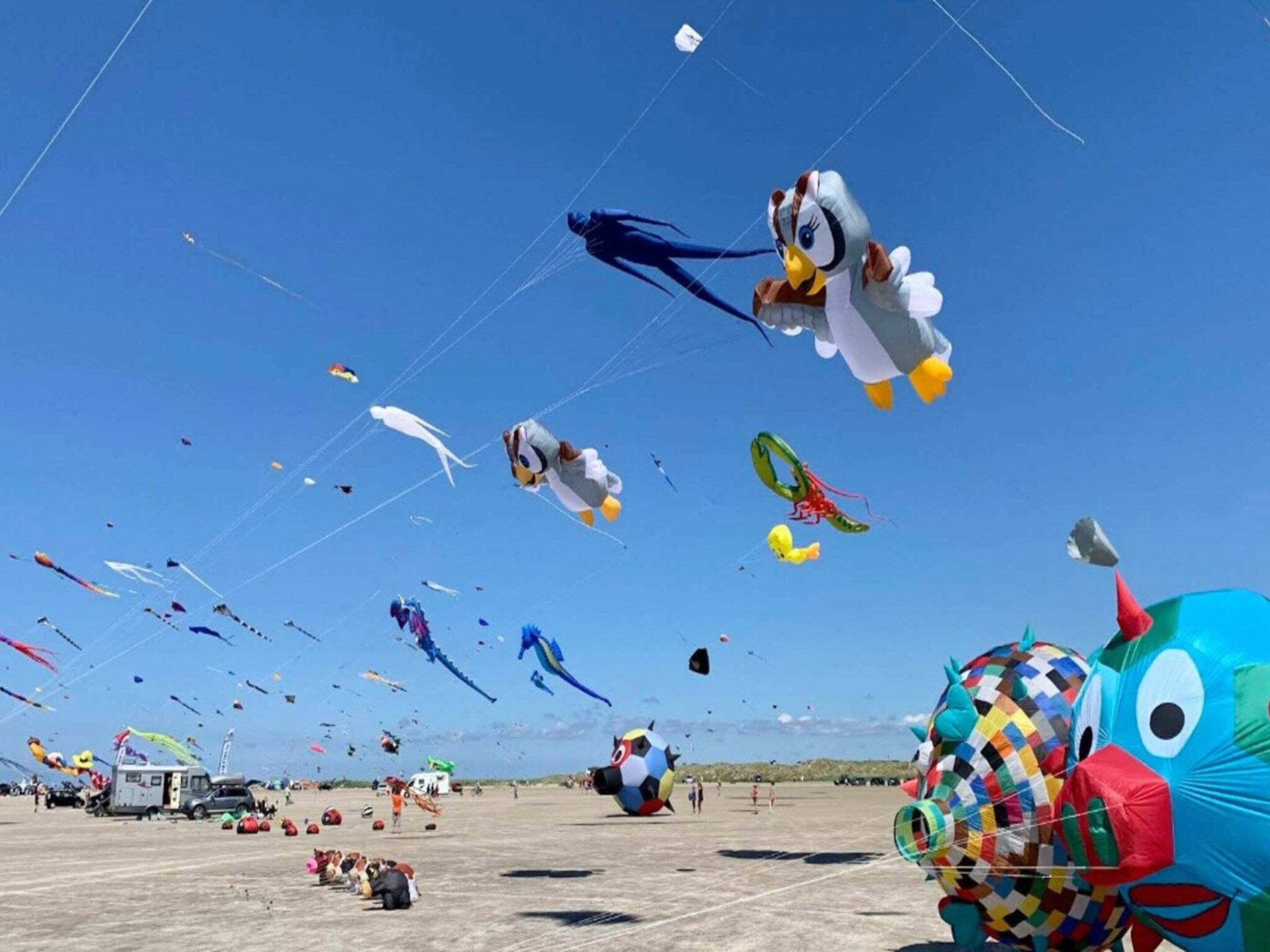 A large open area with numerous kites flying, suggesting a kite festival or event.