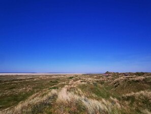 独立别墅 | 其他