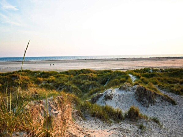 House | Water view - 6 Person Holiday Home in Fano-by Traum (Fano)