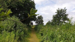 A narrow, grassy path leading to a structure in a natural setting. - 8 Person Holiday Home in Ebeltoft (Ebeltoft)