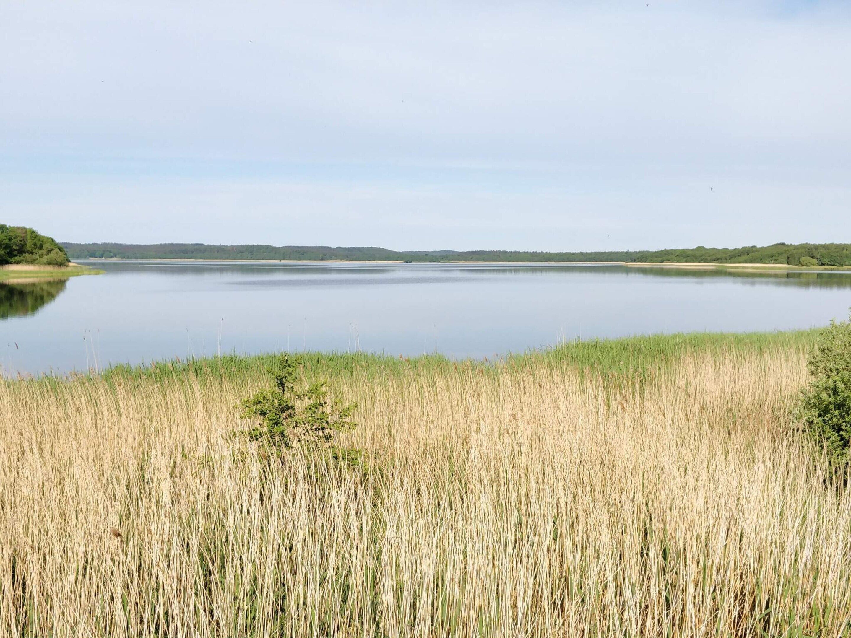 Un lac paisible, bordé de rives verdoyantes et entouré de collines lointaines.
