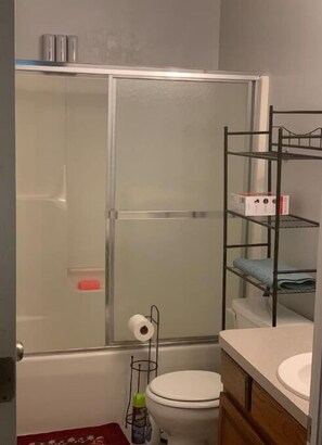 Hair dryer, towels, soap, toilet paper