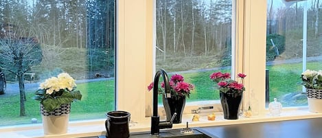 Et køkken med en sort vask, tre blomsterpotter med blomster, og udsigt til en skov gennem store vinduer.