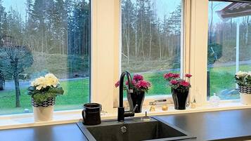 Una cocina con un lavamanos negro, tres plantas en macetas y una ventana con vistas a un área boscosa.