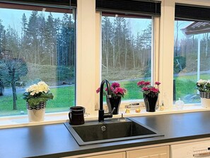 A kitchen with a black sink, three potted plants, and a window overlooking a forested area.