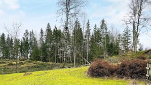 Un paysage naturel composé d’un champ herbeux, d’une petite colline et d’un groupe d’arbres.