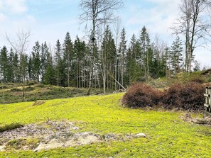 Un paysage naturel composé d’un champ herbeux, d’une petite colline et d’un groupe d’arbres.