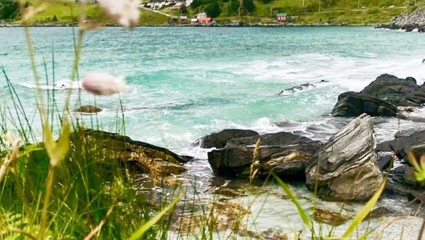 A coastal landscape with a rocky shoreline, clear turquoise water, and greenery. - 4 Star Holiday Home in Maloy (Kinn)