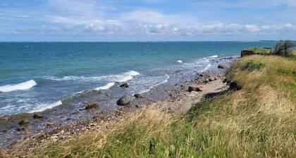 4 Person Holiday Home in Store Fuglede-by Traum