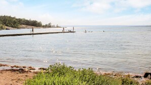 A calm lake with a pier extending into the water, surrounded by greenery and a clear sky. - 7 Person Holiday Home in Svangsta (Svangsta)