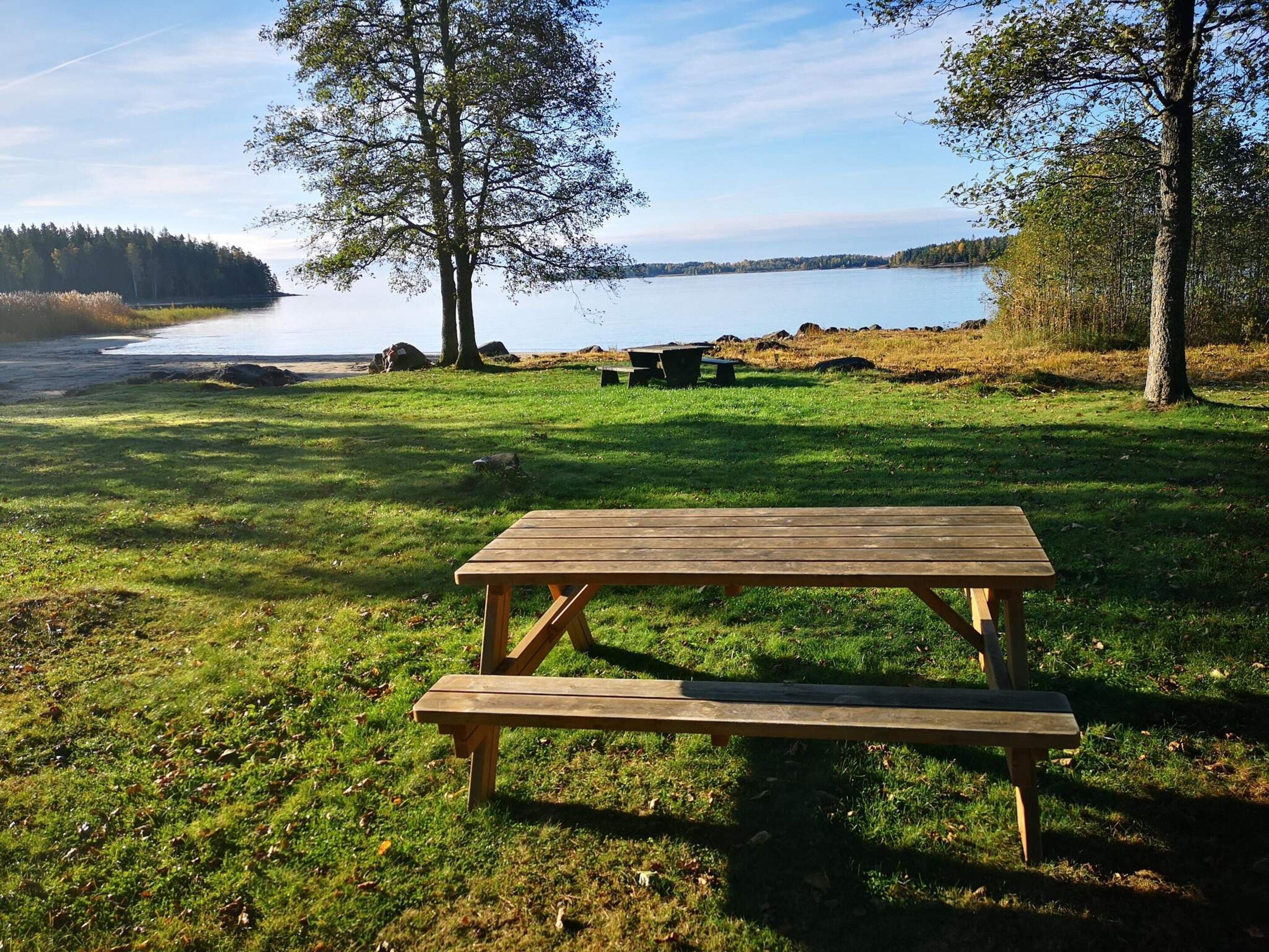 Una mesa de picnic en un área con césped, con un lago y árboles al fondo.