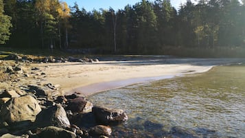 Una playa natural con agua cristalina, rocas y un bosque al fondo.