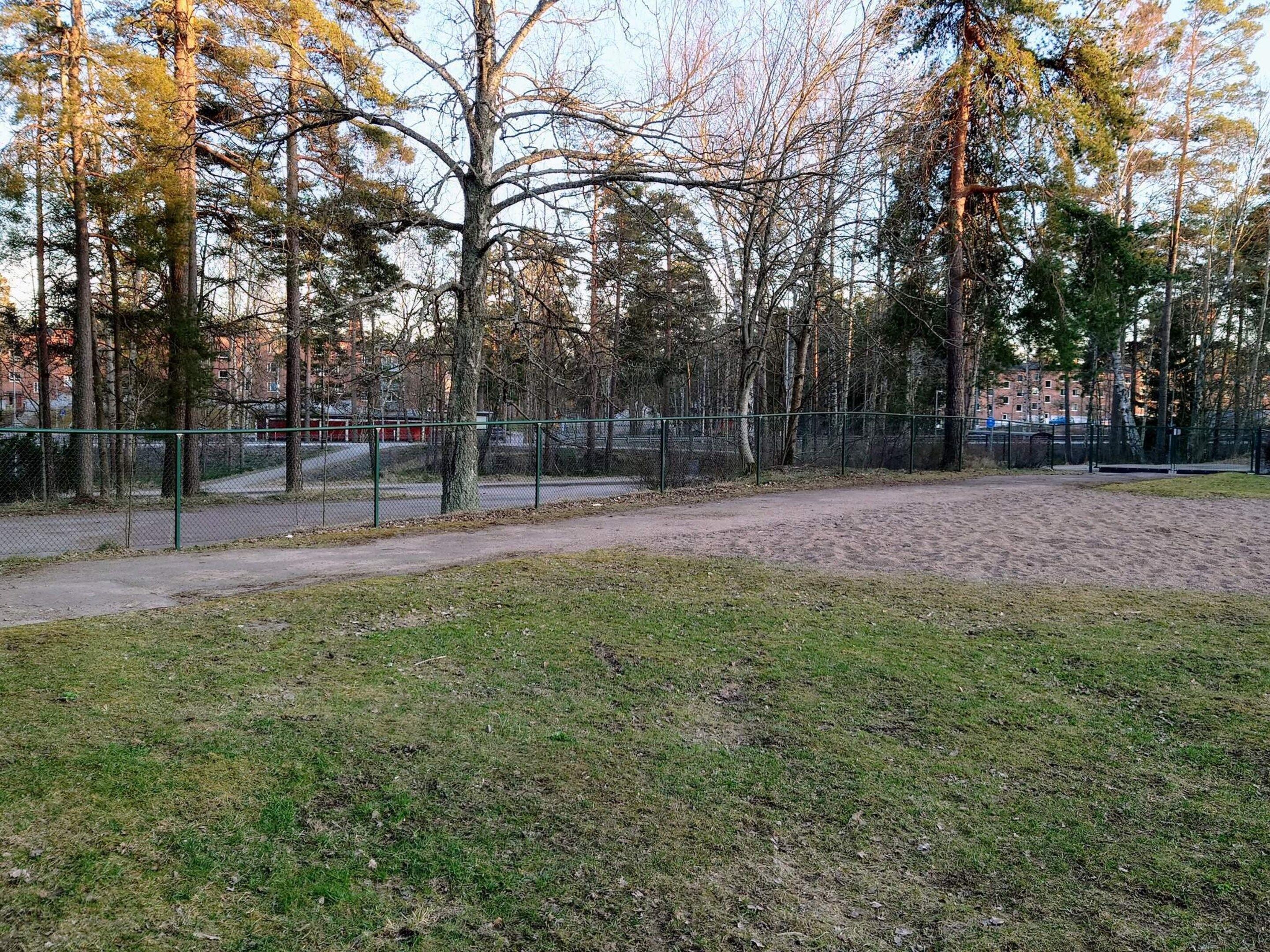 A park with a dirt path, trees, and a fence.