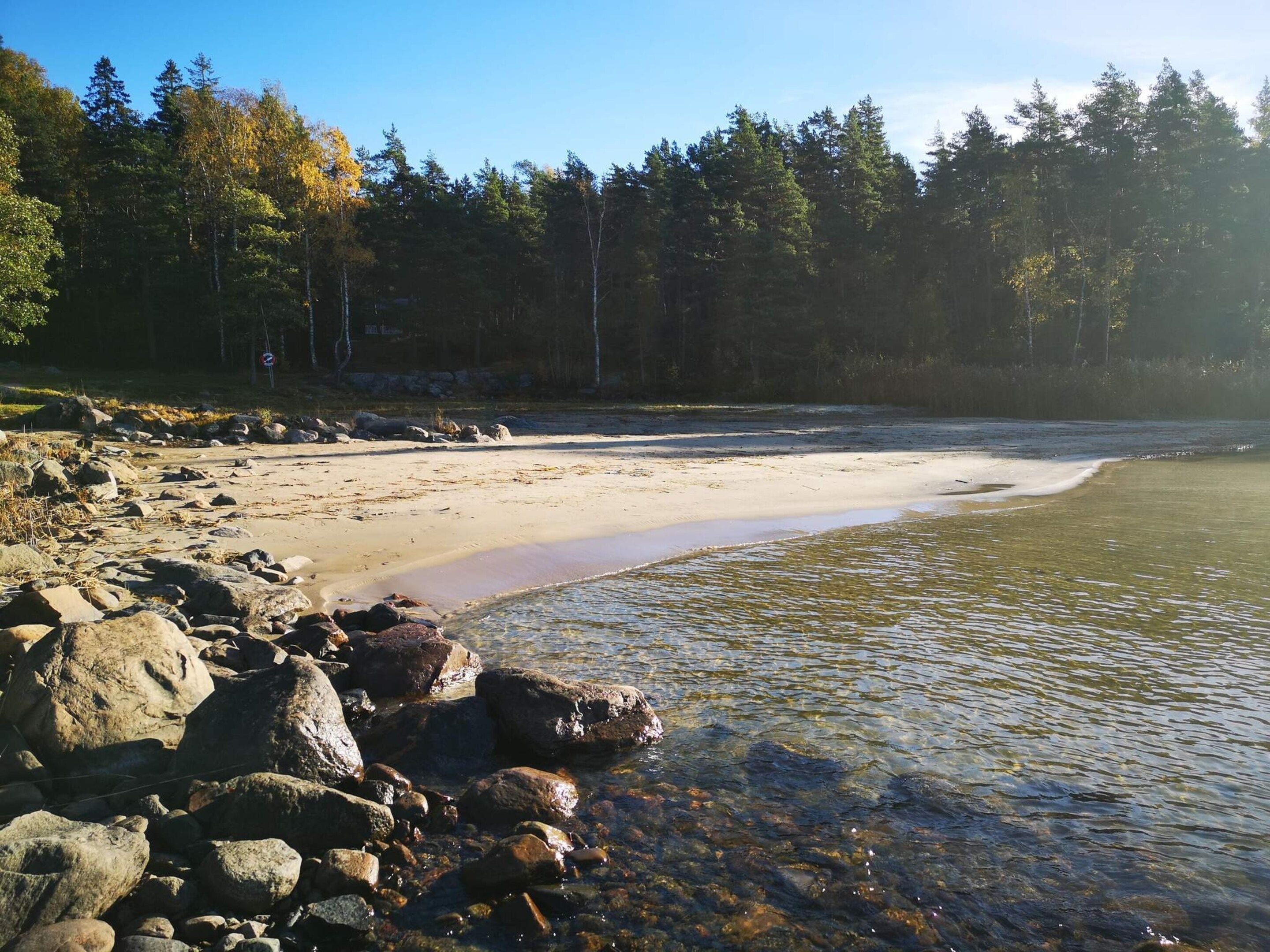 Ein Strand mit klarem Wasser, Felsen und einem Wald im Hintergrund.