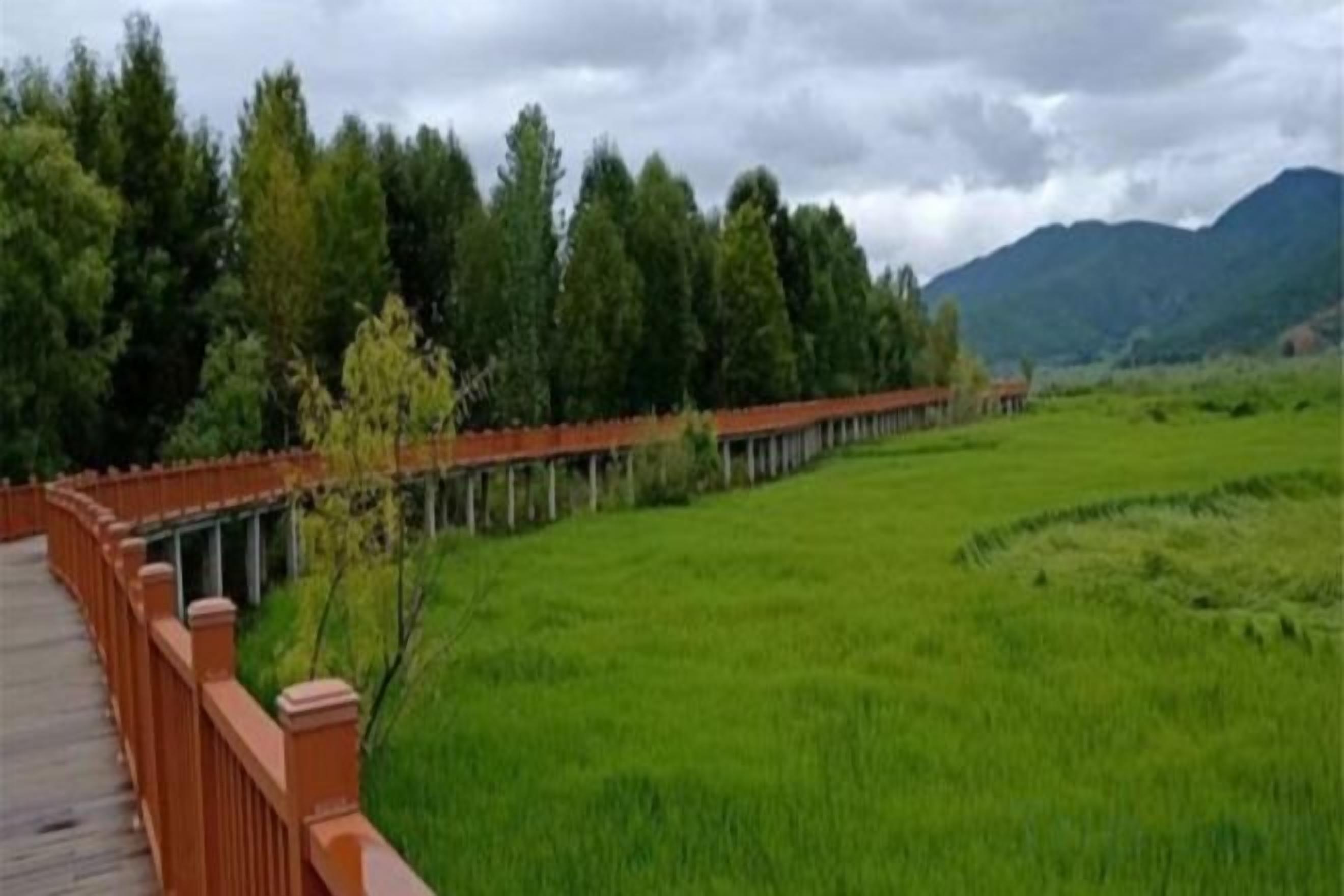 A wooden bridge over a green field with trees and mountains in the background.