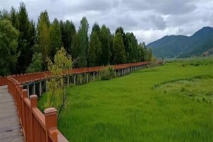 Un puente de madera sobre un campo verde con árboles y montañas al fondo.