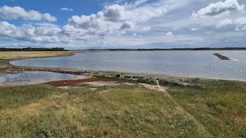 Un paisaje natural con una masa de agua, zonas cubiertas de hierba y un cielo despejado.