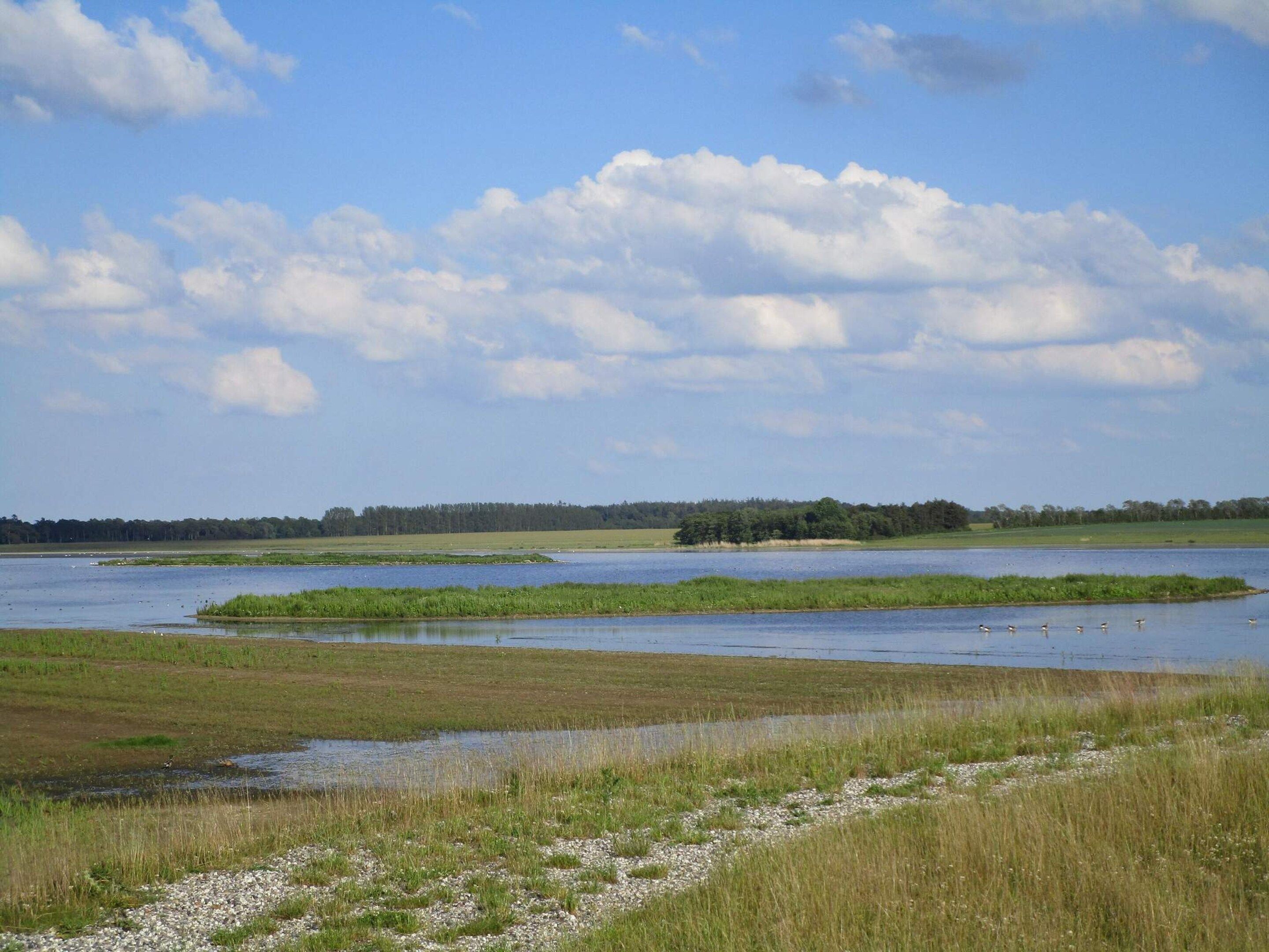 A natural landscape with a body of water, grassy areas, and a distant tree line.