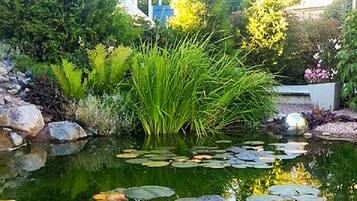 A pond with lily pads and surrounding greenery.