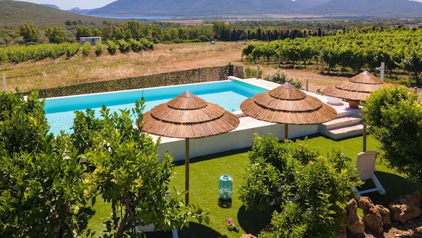 A swimming pool with three thatched umbrellas, surrounded by lush greenery and a vineyard in the background.