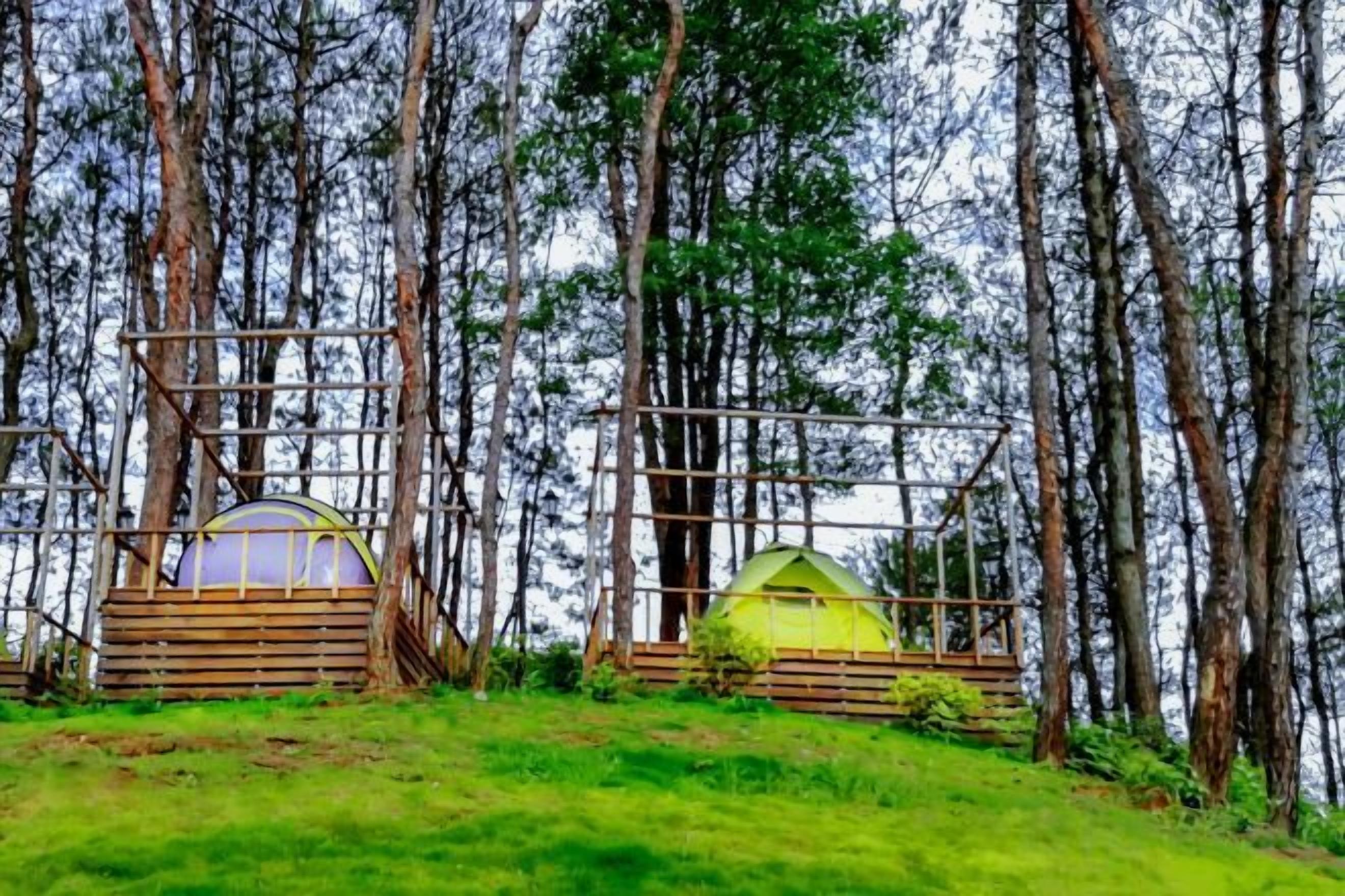 Two dome-shaped tents with wooden frames, set in a forested area with trees in the background.