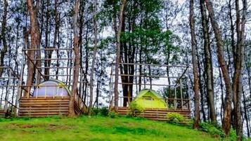 Two dome-shaped tents with wooden frames, set in a forested area with trees in the background.