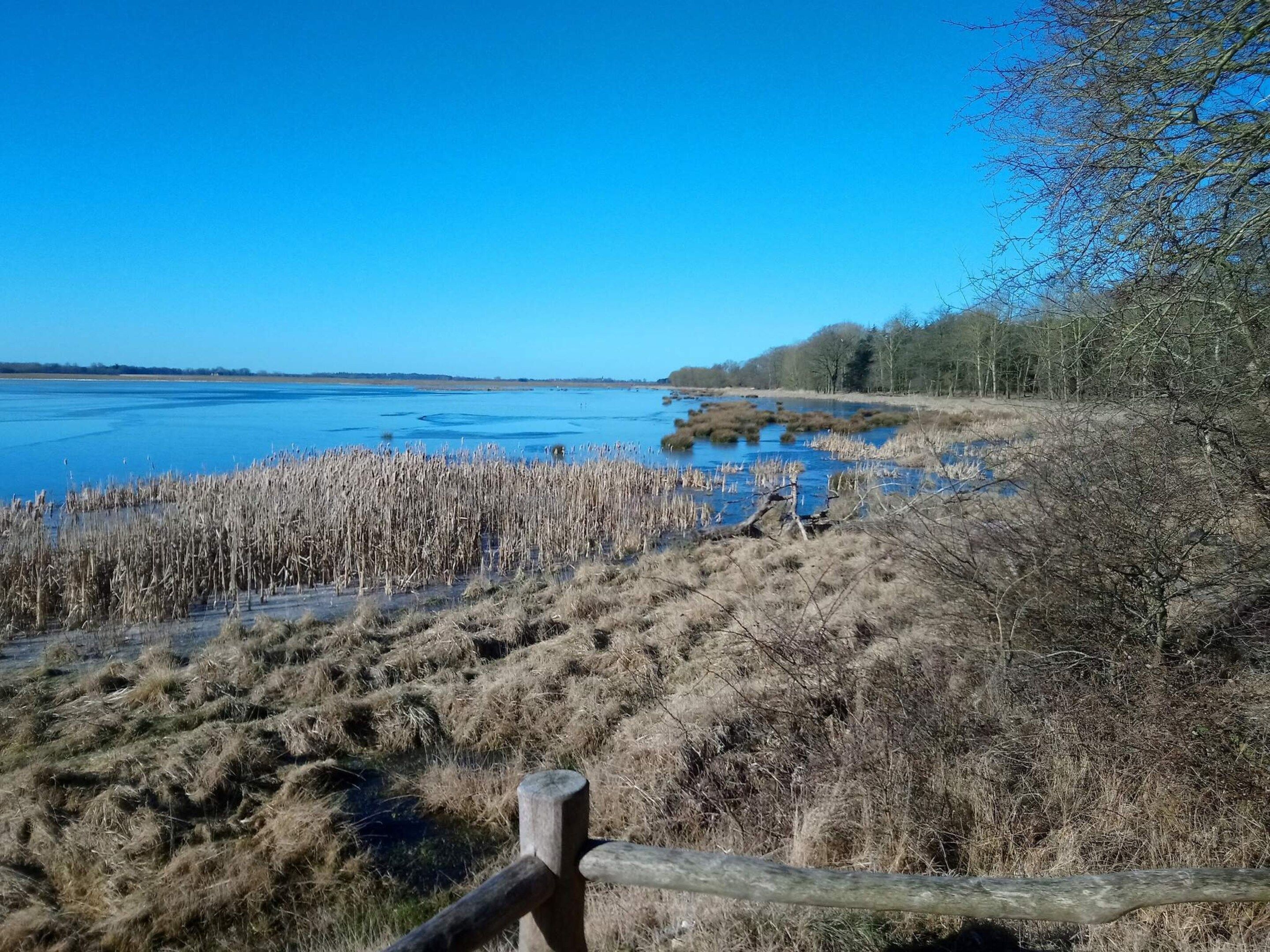 Luonnonmukainen maisema, jossa on vesialue, ruohokasvillisuutta ja puinen aita.