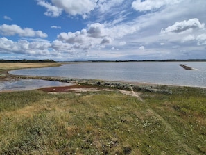 A natural landscape with a body of water, grassy areas, and a distant tree line.