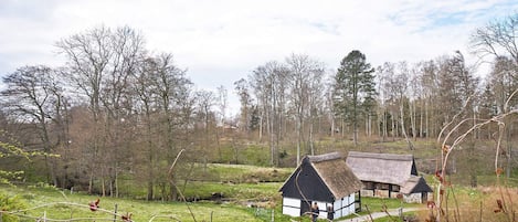 House | Property grounds