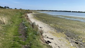 Une plage de sable avec une végétation clairsemée et un ciel dégagé.
