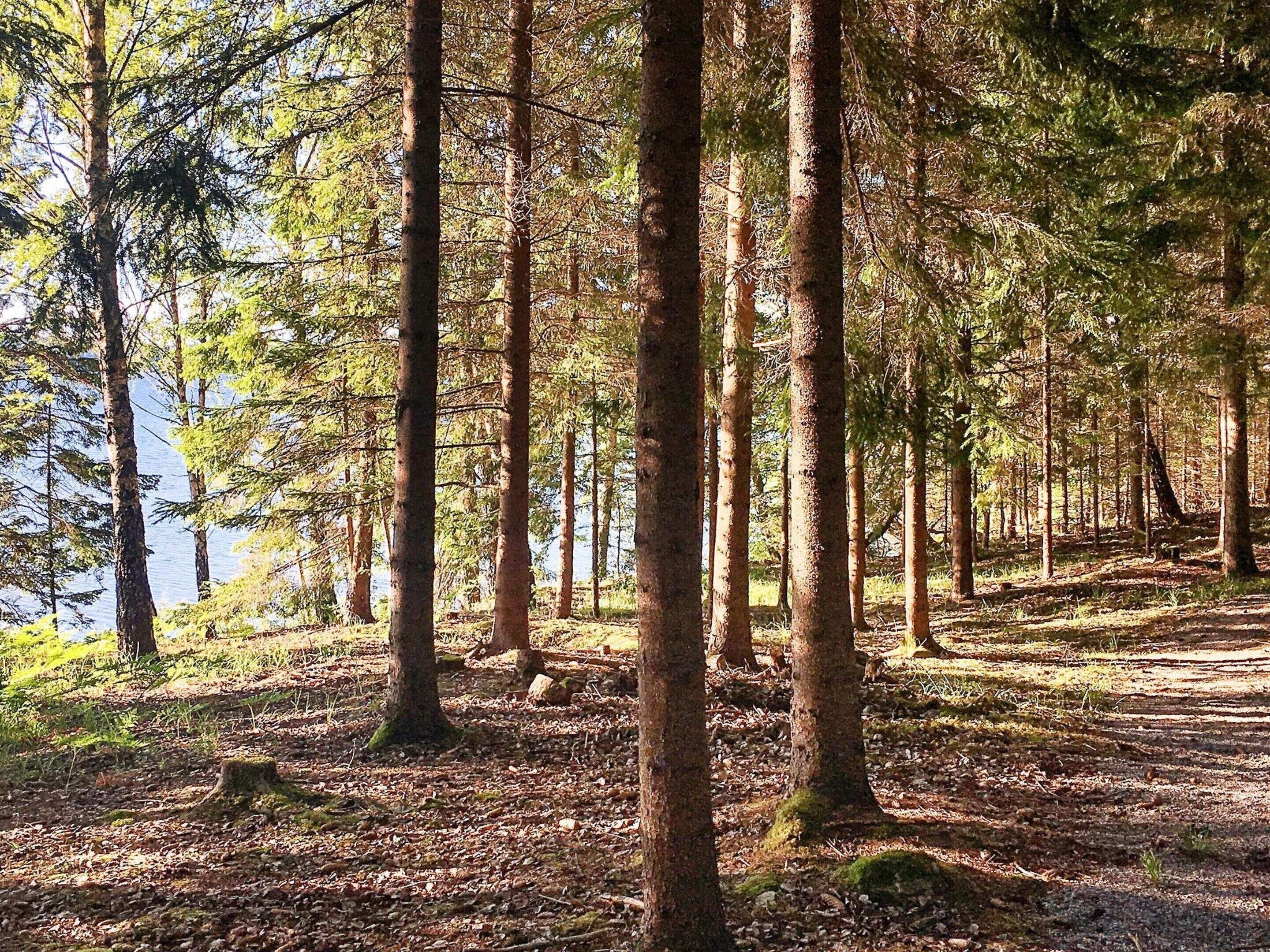 House | 3 bedrooms, individually furnished