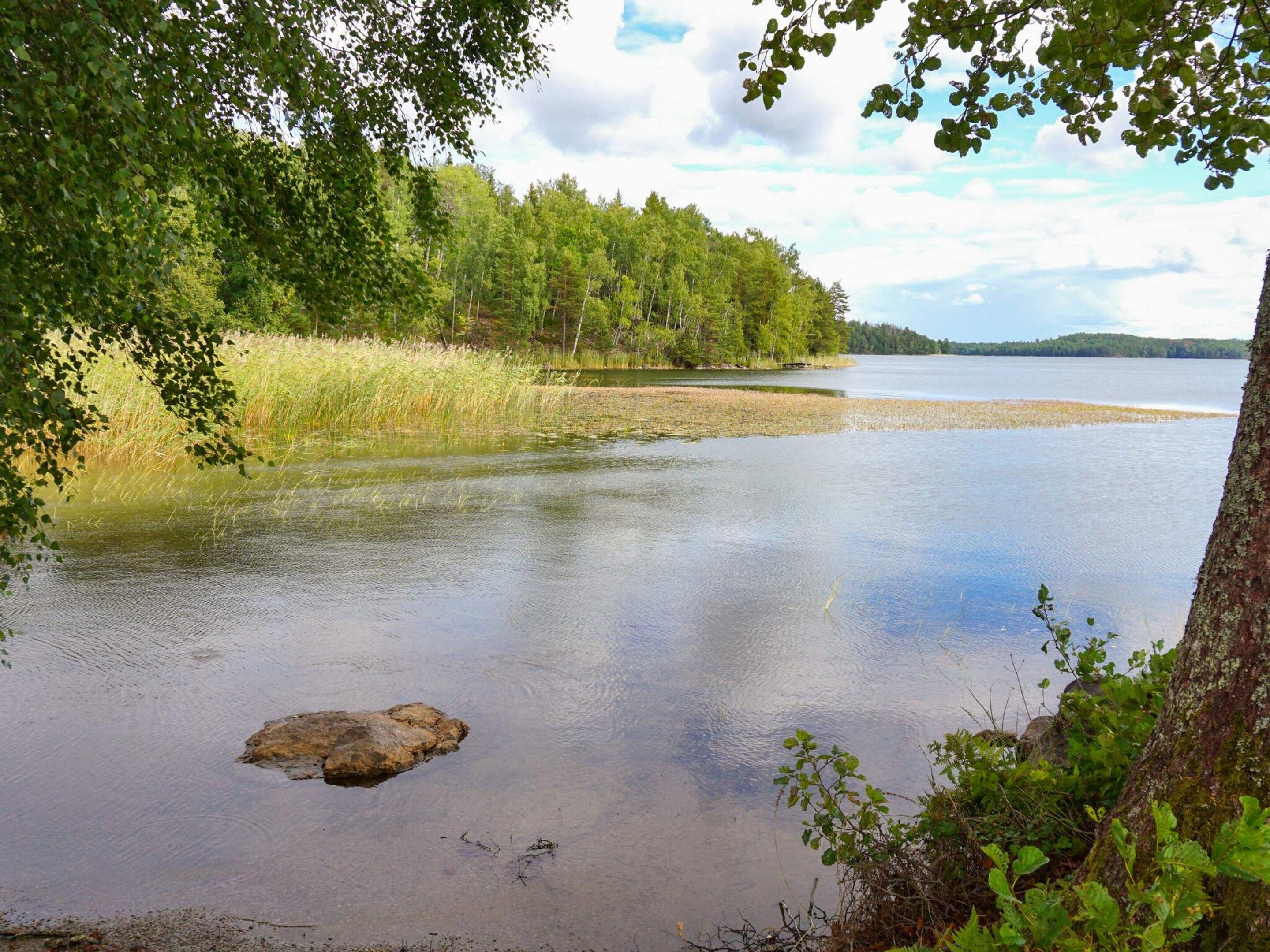 Esterni