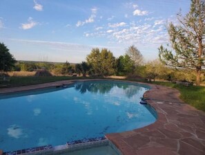 A swimming pool with a curved edge, surrounded by a stone patio and trees.