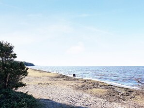 A beach with a sandy shore, a small structure, and a line of trees.
