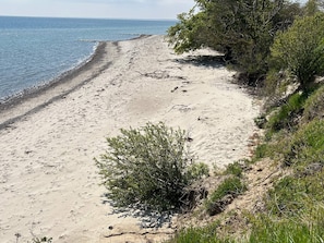 Uma praia arenosa com vista clara do oceano, cercada por vegetação.