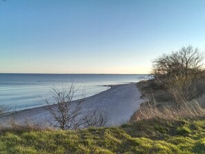 A beach with a clear sky, a sandy path leading to the water, and sparse vegetation.