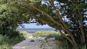 Un sentier sablonneux qui mène à une plage, bordée d’une végétation luxuriante d’un côté et offrant une vue sur l’océan de l’autre.