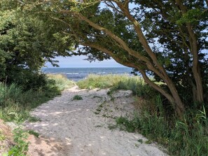 En sandstig som leder till en strand, med tät vegetation på ena sidan och utsikt över havet.