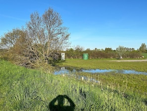 Um campo gramado com lago, árvores e uma pequena construção.
