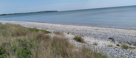 Ein Strand mit Kies und vereinzelter Vegetation.